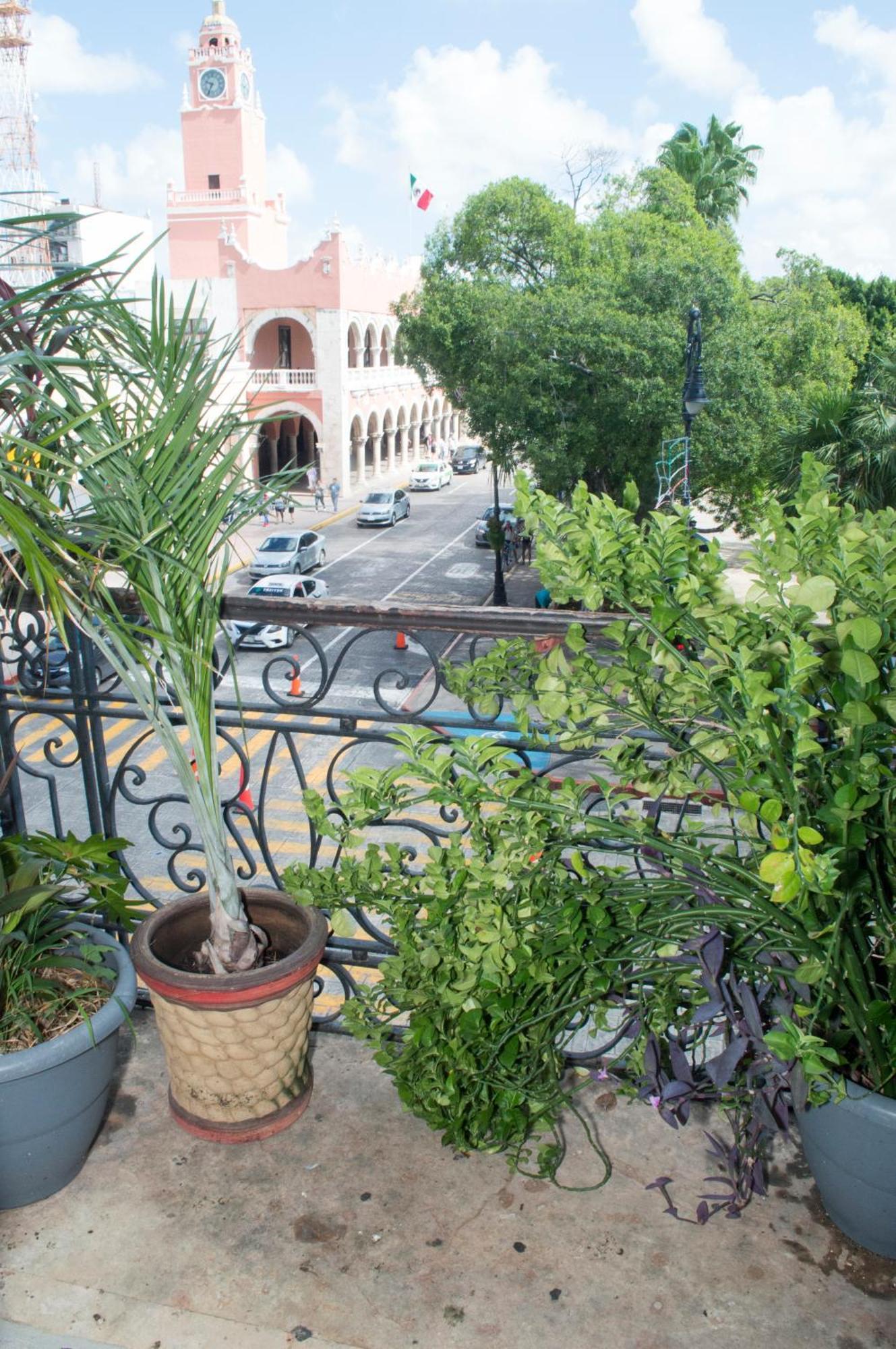 Hostal Zocalo Hotel Мерида Екстериор снимка